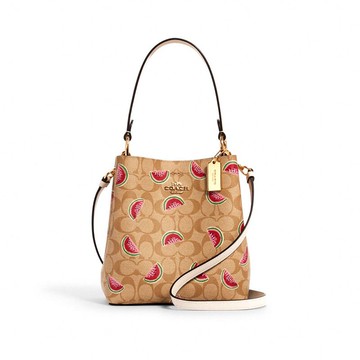 COACH 查理Charlie Bucket 21 西瓜小號水桶包 1619~【 菲尼斯 國際精品 ★ APP下單天天10%點數回饋 】
