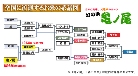 庄内産つや姫　無洗米15kg（5kg×3袋）