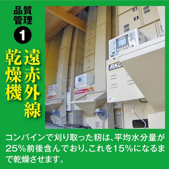 農家のお米直送 令和5年産 はえぬき（精米） 10kg