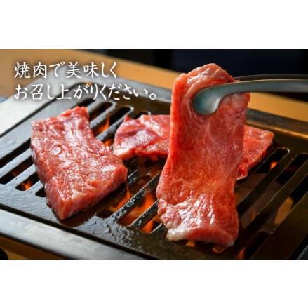 ふるさと納税 特選 若狭牛 焼肉用 300g × 3種（上ロース・上カルビ・ランプ）  計900g 福井県鯖江市