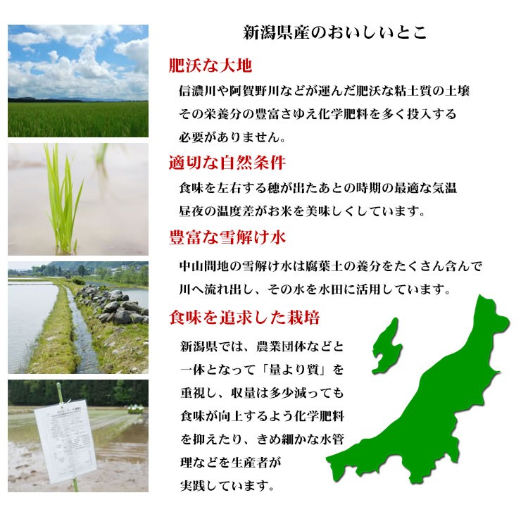 新米 無洗米 5kg コシヒカリ 新潟県産 令和5年産 コシヒカリ お米 5キロ 安い 送料無料