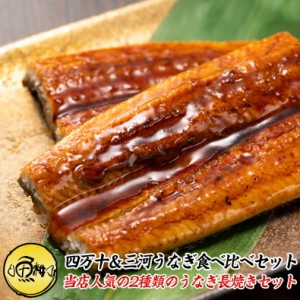 ギフト うなぎ 四万十三河うなぎ 食べ比べセット 詰め合わせ 四万十うなぎ 110g×1尾 三河うなぎ 140g×1尾  260g 2尾セット