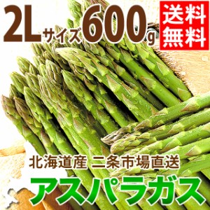 2024年 予約受付中 送料無料 北海道産 アスパラ 600g(2Lサイズ限定)   ２Ｌサイズ 大きいサイズ アスパラ あすぱら アスパラガス グリー