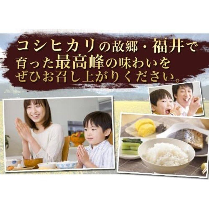 無洗米福井県産コシヒカリ 令和4年産 (20kg)