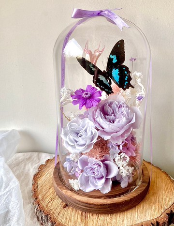 Papilio epiphorbas 鳳蝶∣永生花玻璃盅∣開幕∣情人節∣母親節