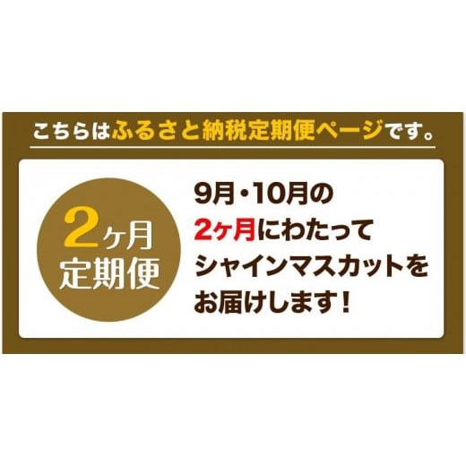 ふるさと納税 岡山県 浅口市 ぶどう 2ヶ月 定期便 [2024年先行予約] シャインマスカット 晴王 岡山県産 2房 約1kg《9月上旬-11月上旬頃出荷(土日祝除く)》 ハ…