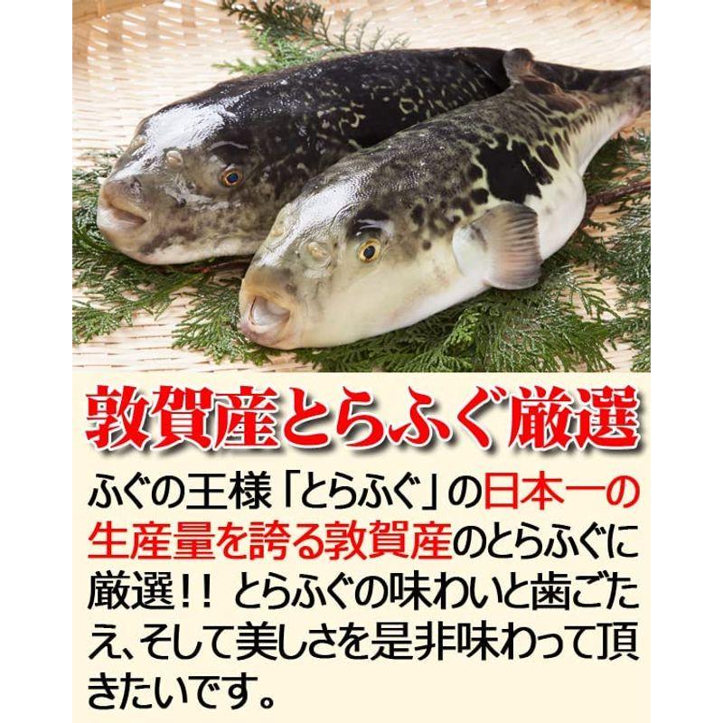 ますよね 福井県 敦賀産 トラフグ使用 とらふぐ刺身  ふぐ皮 セット 30cm大皿盛り てっさ ふぐ とらふぐ ふぐ刺し