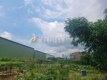 近國防大學特農｜桃園市八德區榮興段