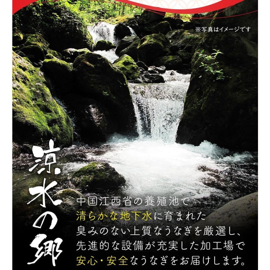 国産ではございませんがふっくら柔らか うなぎ蒲焼き 肉厚 超特大 五尾セット 250g前後×5パック ウナギ 鰻 訳15人前 たれと山椒付き 土用 丑の日 訳あり