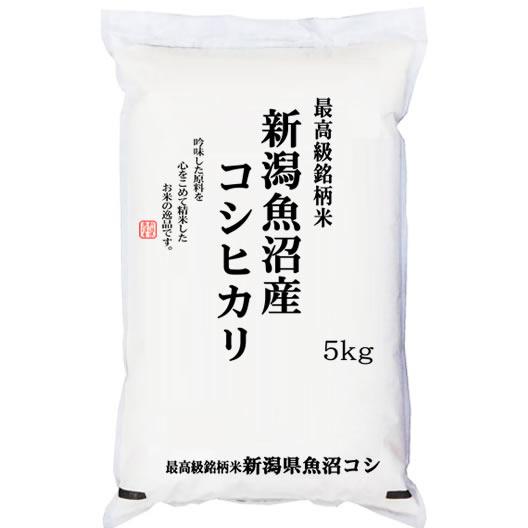 魚沼コシヒカリ 新米 米5kg 新潟県 魚沼産 2等米以上限定 JA十日町 令和5年産 