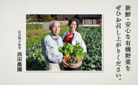 西田農園　季節の野菜詰合せ　Ｂセット 017002