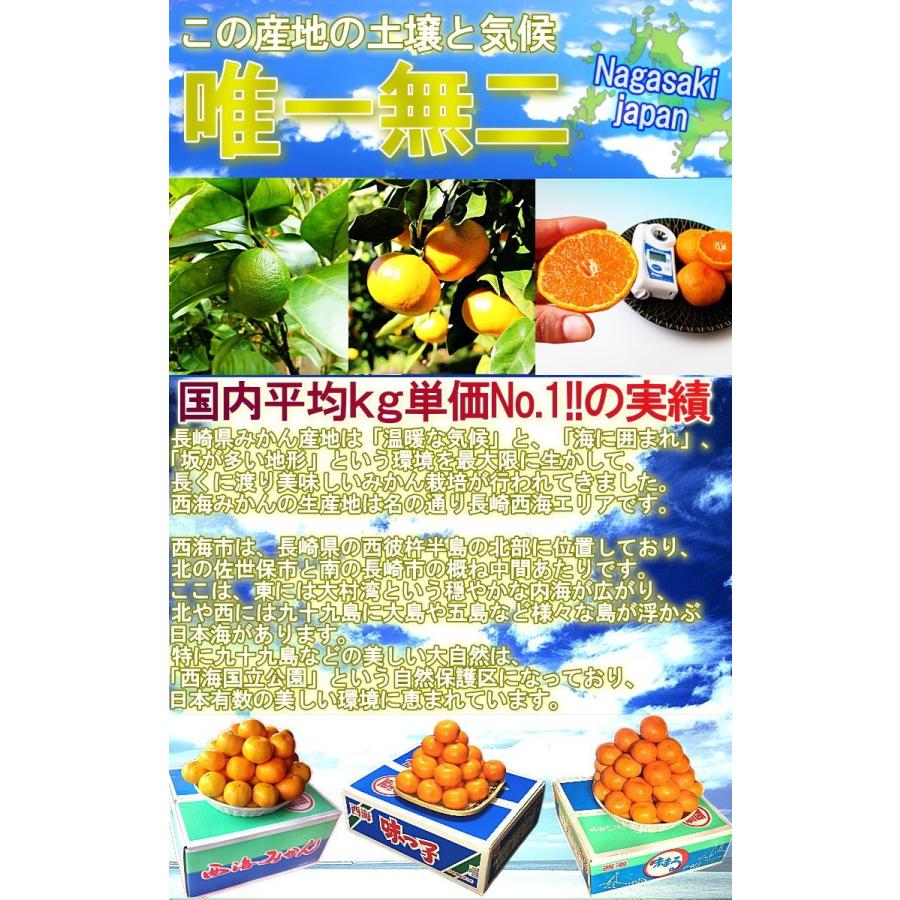 味まる蜜柑 約5kg 長崎県産 優品限定 JAながさき西海 光センサー選果で糖度12度保障！長崎県が誇るブランド果物、西海みかん