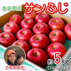 青森県産 産地直送!家庭用 サンふじ 約5kg