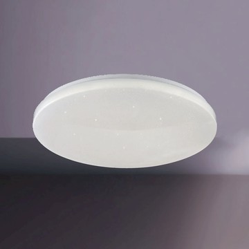 45W三色變光吸頂燈 B102-81-25014