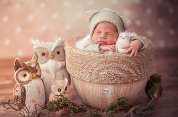 貓頭鷹毛氈    針氈貓頭鷹新生兒攝影道具毛氈動物新生兒玩具