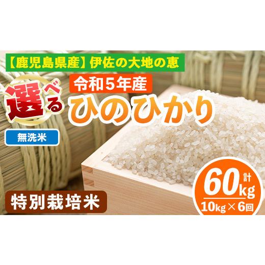 ふるさと納税 鹿児島県 伊佐市 isa517-02  ＜無洗米＞選べる精米方法！令和5年産 鹿児島県伊佐産 特別栽培ひのひかり(計60kg・10kg×6ヵ月)【Far…