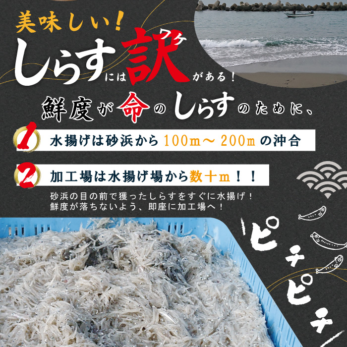 23-002．老舗海産物店の土佐黒潮ふんわりしらす650g（合計1.95kg）