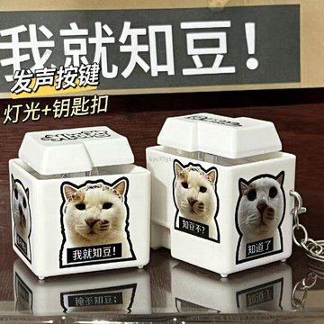 【隔曰到貨】我就知豆語音按鍵 知豆不語音按鍵 發光發聲語音按鍵 解壓 發聲發光語音按鍵 禮物掛飾 知豆不按鍵