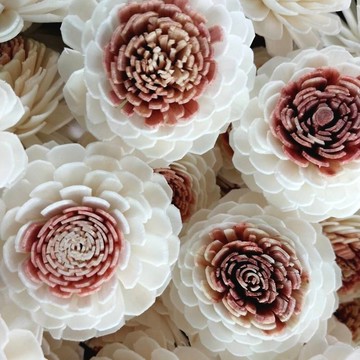 粉紅色茉莉花，尺寸 5 厘米，50 朵