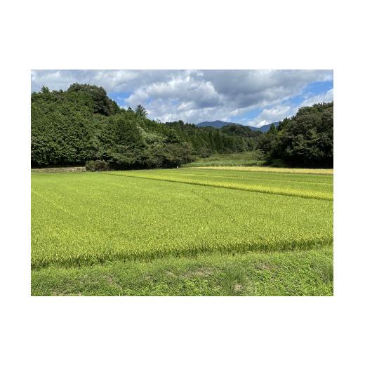 ふるさと納税 岡山県 勝央町 令和5年産　食味コンテスト受賞者の作るお米シリーズ「きぬむすめ玄米30kg」__S102