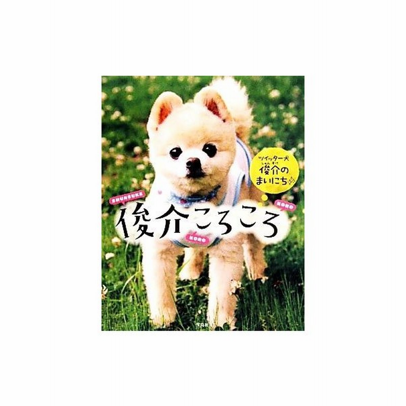 俊介ころころ ツイッター犬俊介のまいにち 芸術 芸能 エンタメ アート 通販 Lineポイント最大get Lineショッピング