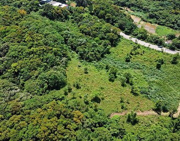 有樹的地方就有健康平靜心大面寬可打造親子農場休閒區｜新北市三芝區榆林段