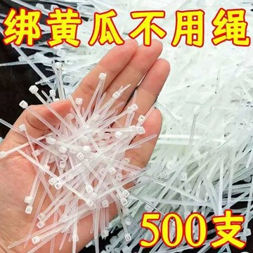 批發彩色小紮帶 園藝尼龍紮帶綁帶收緊器 塑料2.5*60mm6釐米公分 JKHG