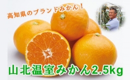 山北温室みかん2.5kg 果物 柑橘類 蜜柑 糖度高め フルーツ Bku-0012