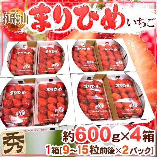 和歌山県 ”まりひめいちご（毬姫苺）” 秀品 2パック入り（1パック 9〜15粒 約300g）×《4箱》 送料無料