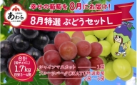 8月特選 ぶどうセットL 1.7kg以上（3～4房）／ 葡萄 シャインマスカット シャイン 品種 おまかせ あわら 農家おすすめ ※2024年8月より順次発送