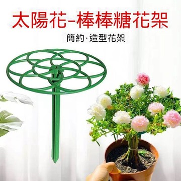 ⚡️本島直出⚽️太陽花棒棒糖支架單層多層支撐架植物造型爬藤固定太陽花架子支撐 太陽花棒棒糖支架 太陽花支架 植物支架