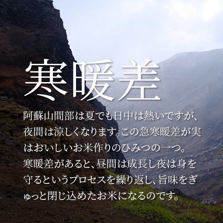 阿蘇産 こしひかり10kg(5kg×2袋）白米 熊本県 おすすめ おいしい おにぎり お弁当 送料無料
