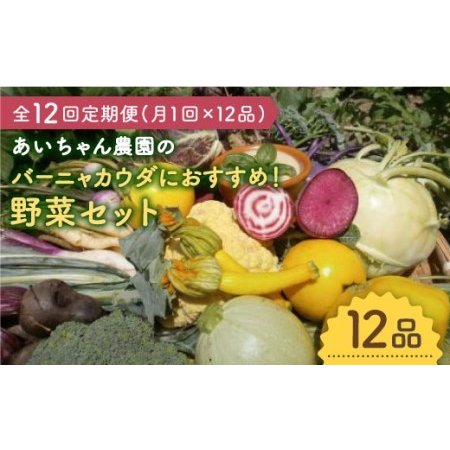 ふるさと納税 「バーニャカウダなどに♪」あいちゃん農園のお野菜の詰め合わせ [FAA030] 佐賀県吉野ヶ里町