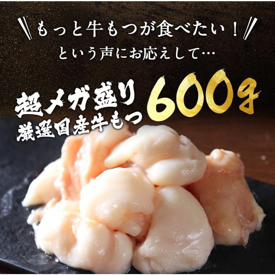 もつ鍋 国産牛もつ 600g「超メガ盛りもつ鍋セット」 博多もつ鍋 送料無料 モツ鍋 ポイント消化