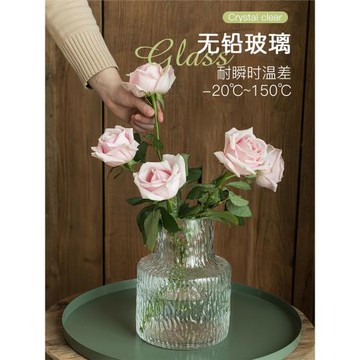 大花瓶鮮花玻璃花瓶網紅擺件客廳插花ins風高級感裝飾透明輕奢