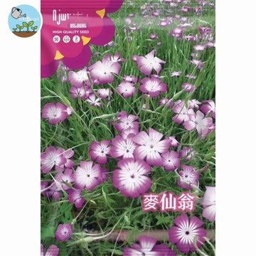 【原廠包裝】麥仙翁種子 梅花石竹 四季播種 耐旱易栽 阳台盆栽 觀花植物 多年生 開花美麗 園藝愛好者首選
