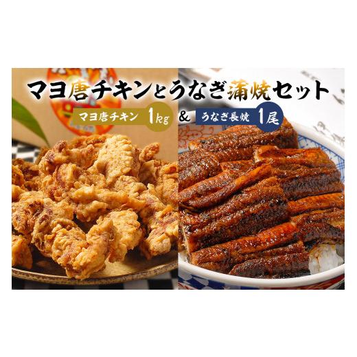 ふるさと納税 岐阜県 可児市 「マヨ唐チキン」と「炭かおる地焼き　うなぎ蒲焼（たれ付）」のセット