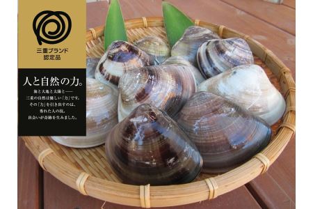 a*92　丸元水産　桑名産蛤(ハマグリ)0.7kg