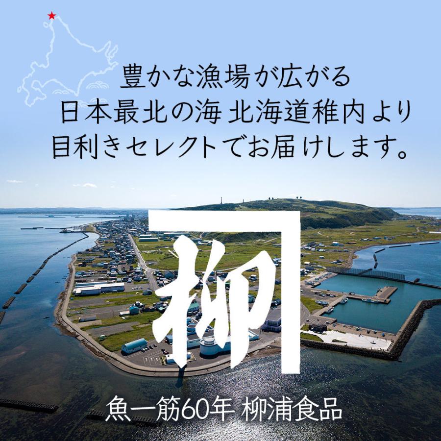 ギフト 稚内名産！北海道のこだわり干物 食べ比べBセット 全6種6パック[ホッケ・縞ホッケ・ニシン・こまい・宗谷カレイ・ナメタカレイ]