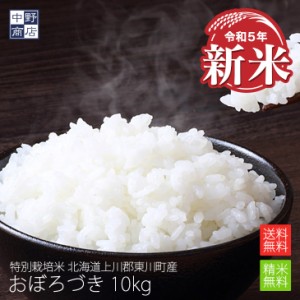 新米 特別栽培米 減農薬栽培米 玄米 米  北海道産 おぼろづき 10kg 特別栽培米（節減対象農薬8割減・化学肥料6割減） 上川郡東川町 【生