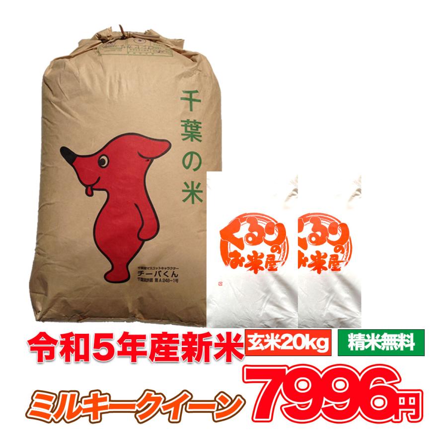 令和4年産 コシヒカリ 玄米30キロ 淡路島産 精米小分け可 30kg - 米