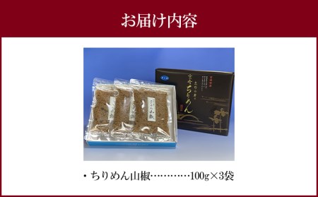 東野水産乃 ちりめん山椒（100g×2袋）ちりめん ちりめんじゃこ