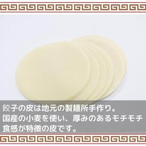 ふるさと納税 餃子 ぎょうざ 野菜餃子 手作り餃子 1袋(350ｇ／12個入) 4袋 計48個(1.4kg) 国産 冷凍 惣菜 手作り 新潟県 南魚沼市 コメトハナ .. 新潟県南魚沼市