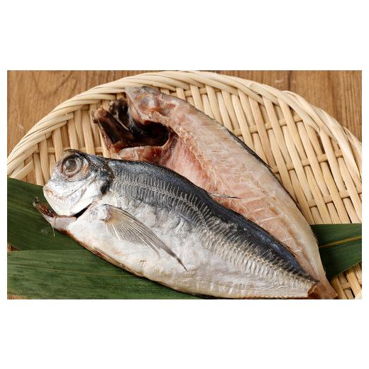 ふるさと納税 茨城県 神栖市   業務用 あじ 干物 1kg アジ 鯵 魚