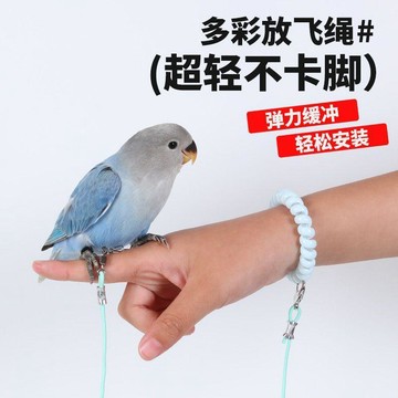鸚鵡八哥超輕放飛繩虎皮牽引牡丹遛鳥玄鳳外出小太陽飛行牽引繩