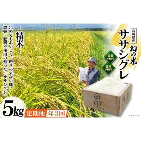 ふるさと納税 3回 定期便 希少品種米 ササシグレ 精米 5kg×3回 総計15kg   長沼 太一   宮城県 加美町 宮城県加美町