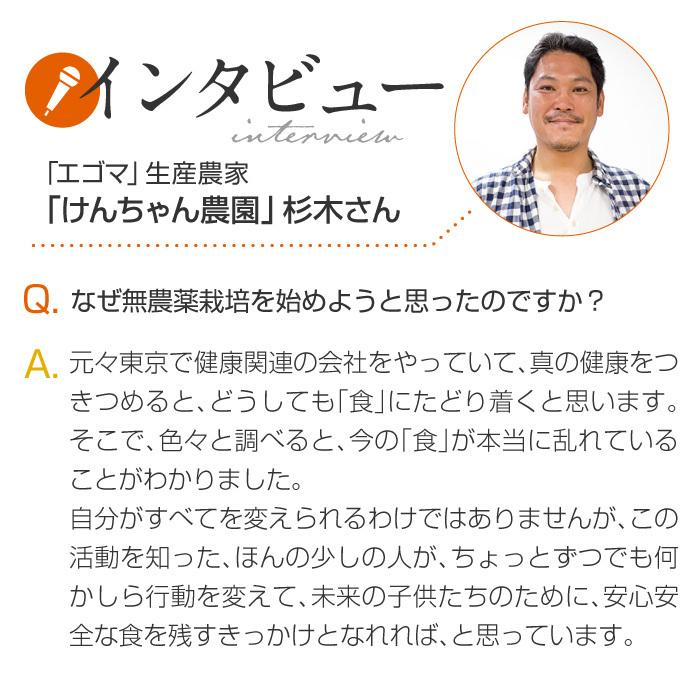 大豆ミート 大豆チップス オーガニック 国産  国産 250g 無農薬 無肥料 スーパーフード