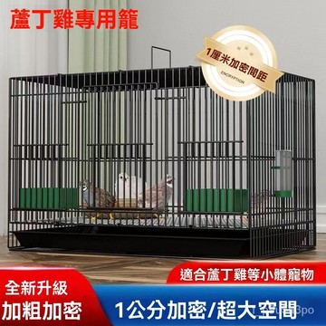 ✨全店免運✨鷄籠蘆丁鷄鵪鶉鴿子小鷄籠小鴨易折疊傢用鐵絲養殖籠