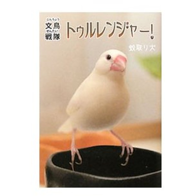 文鳥戦隊トゥルレンジャー 蚊取り犬 通販 Lineポイント最大0 5 Get Lineショッピング