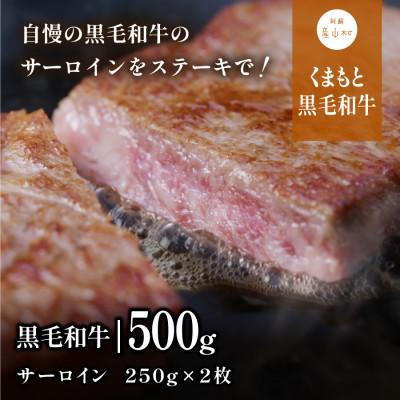 ふるさと納税 産山村 くまもと黒毛和牛・サーロイン約500g